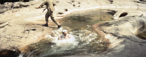 88799f0247e3aed9f5c2d511113253a6.png