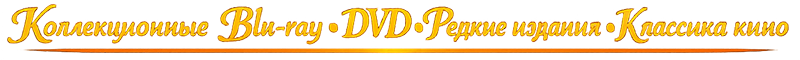 800x60