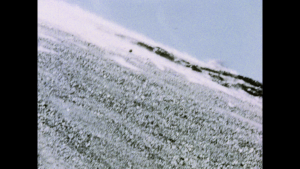 8f6d2098f2588a3e0ac16c14ac436912.png
